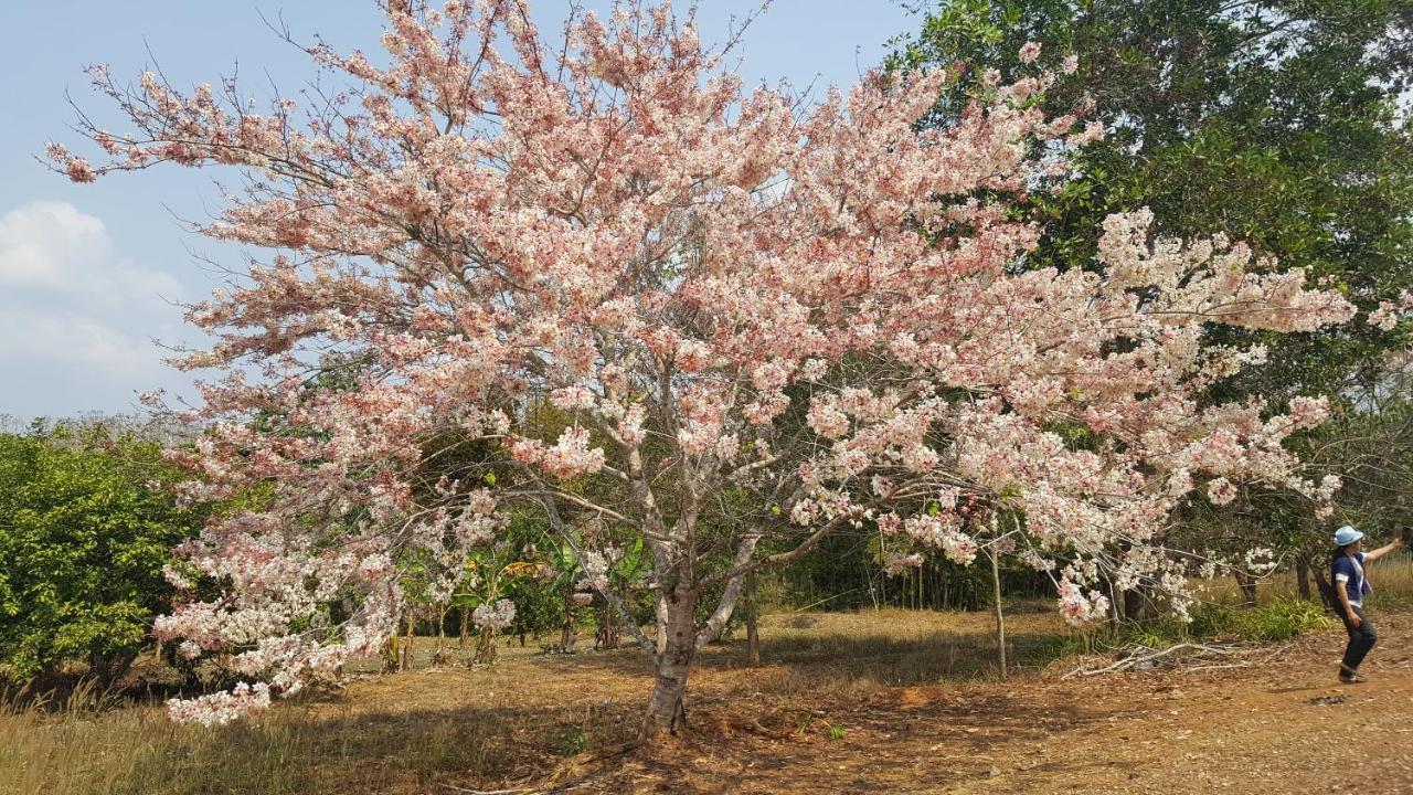 Tarahill Khao Kho Otel Dış mekan fotoğraf